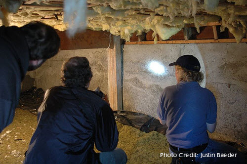 Home Inspection