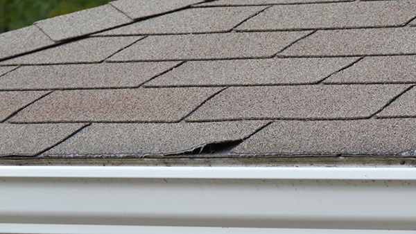 Edges on roof shingles and curving up 