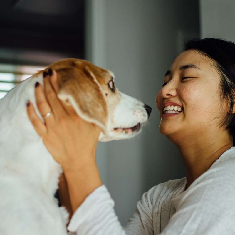 young asian woman petting white dog