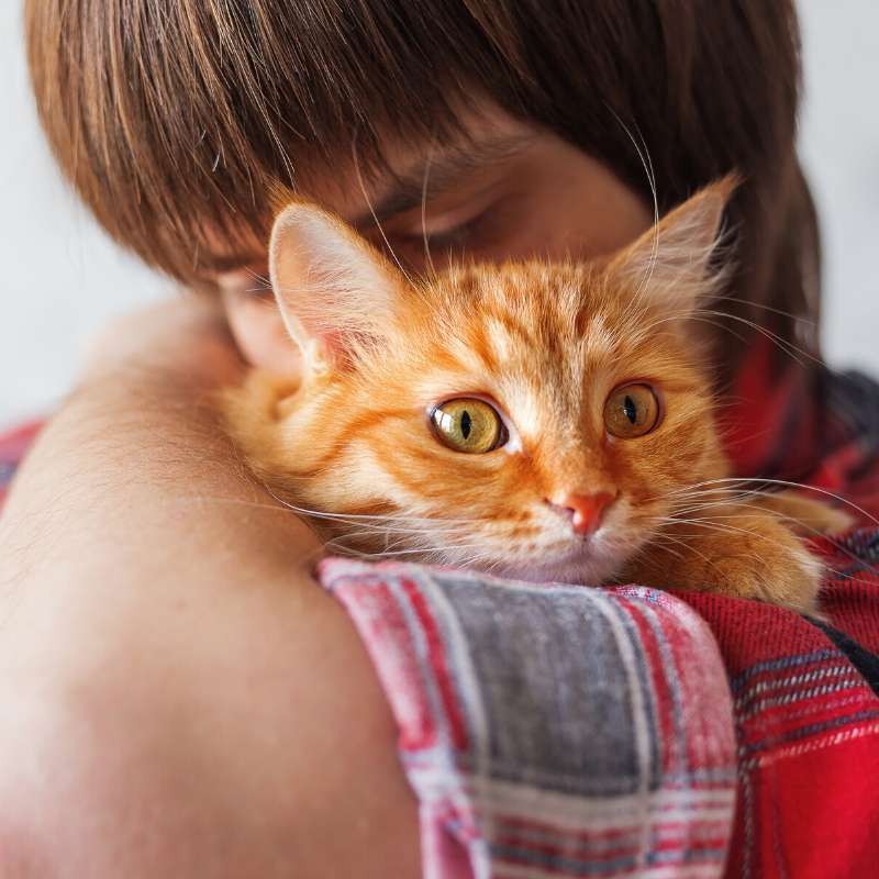 pet adoption by boy during coronavirus pandemic