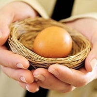Hands holding a nest egg.