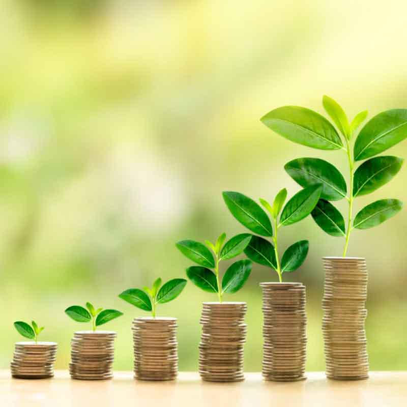 plants_growing_representing_direct_deposit_savings
